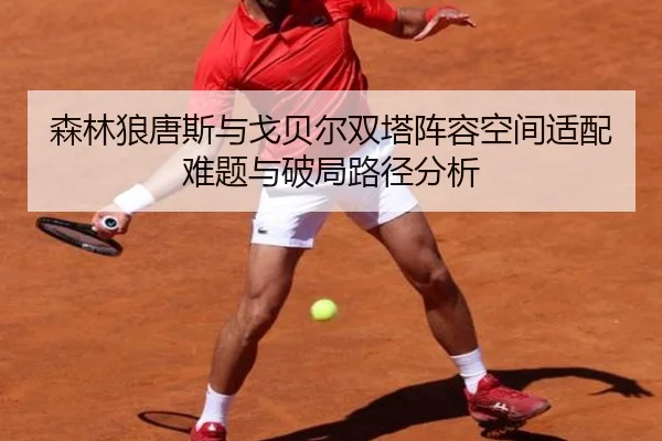 森林狼唐斯与戈贝尔双塔阵容空间适配难题与破局路径分析